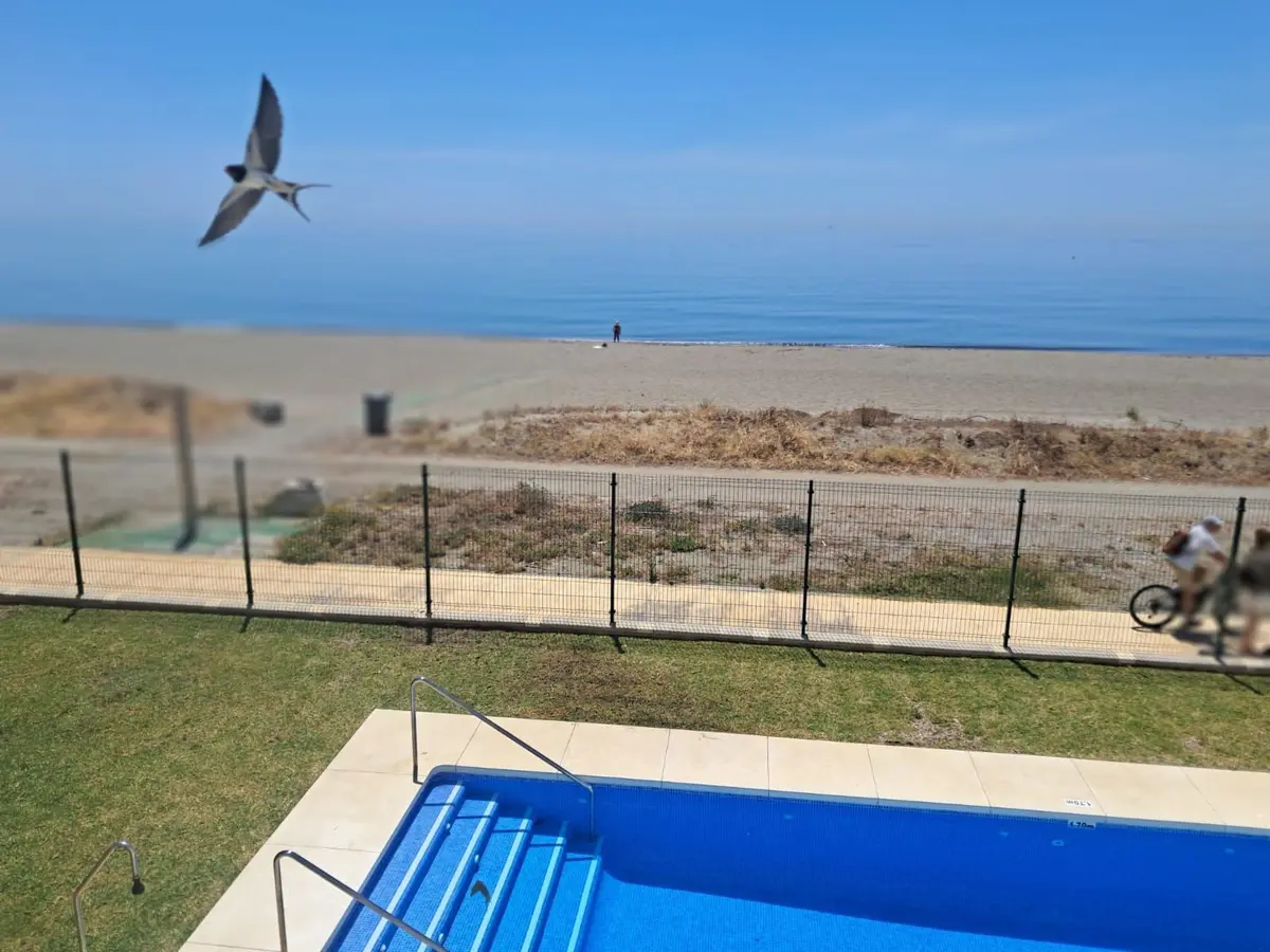 Detached Villa in Estepona