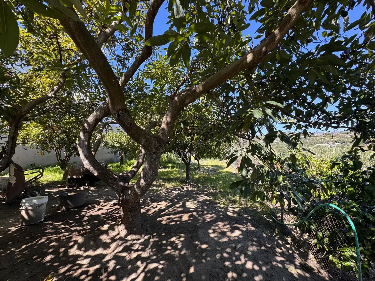 Detached Villa in Estepona