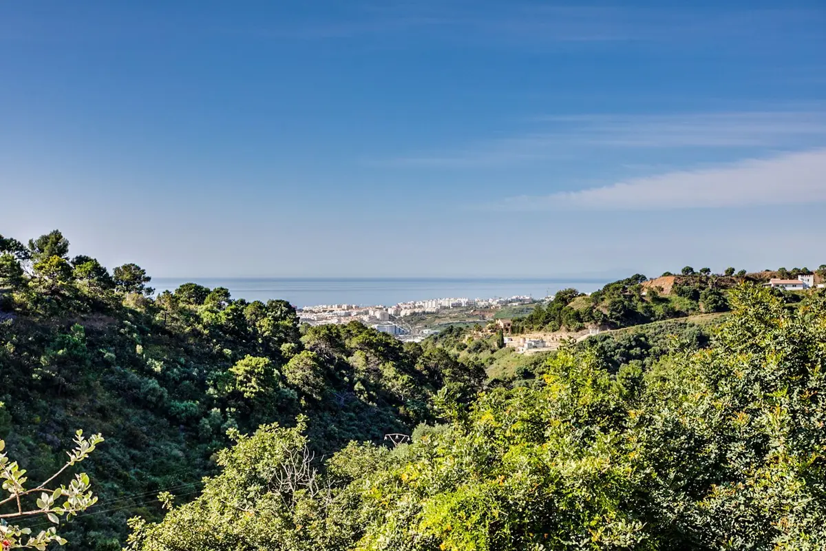 Detached Villa in Estepona