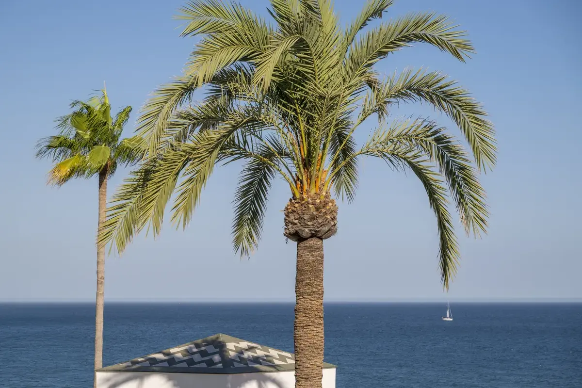 Penthouse in Estepona
