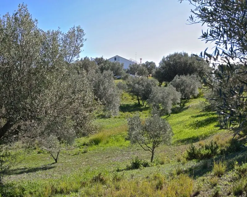 Detached Villa in Elviria