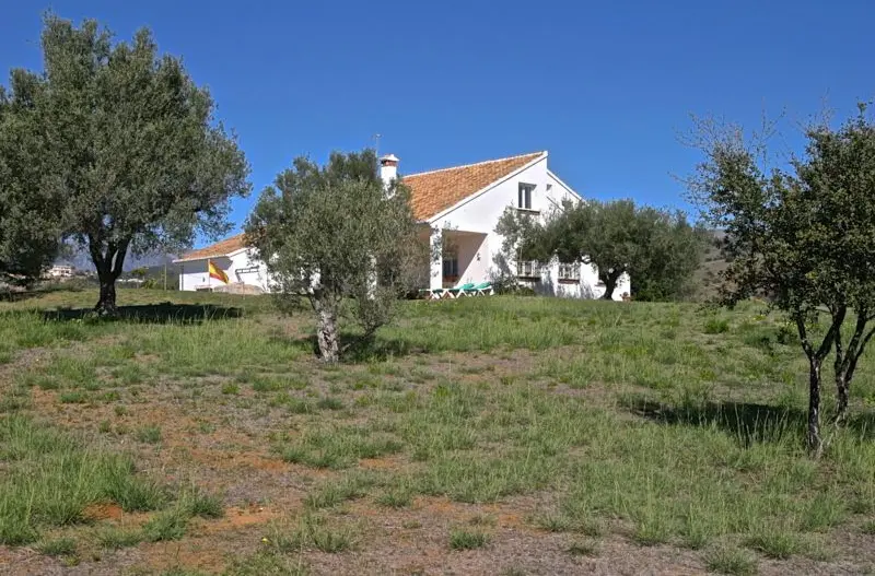 Detached Villa in Elviria
