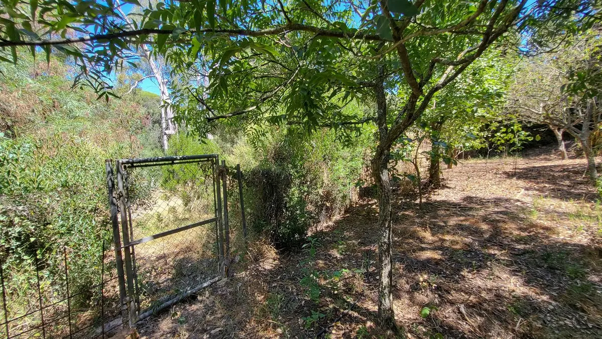 Detached Villa in Elviria