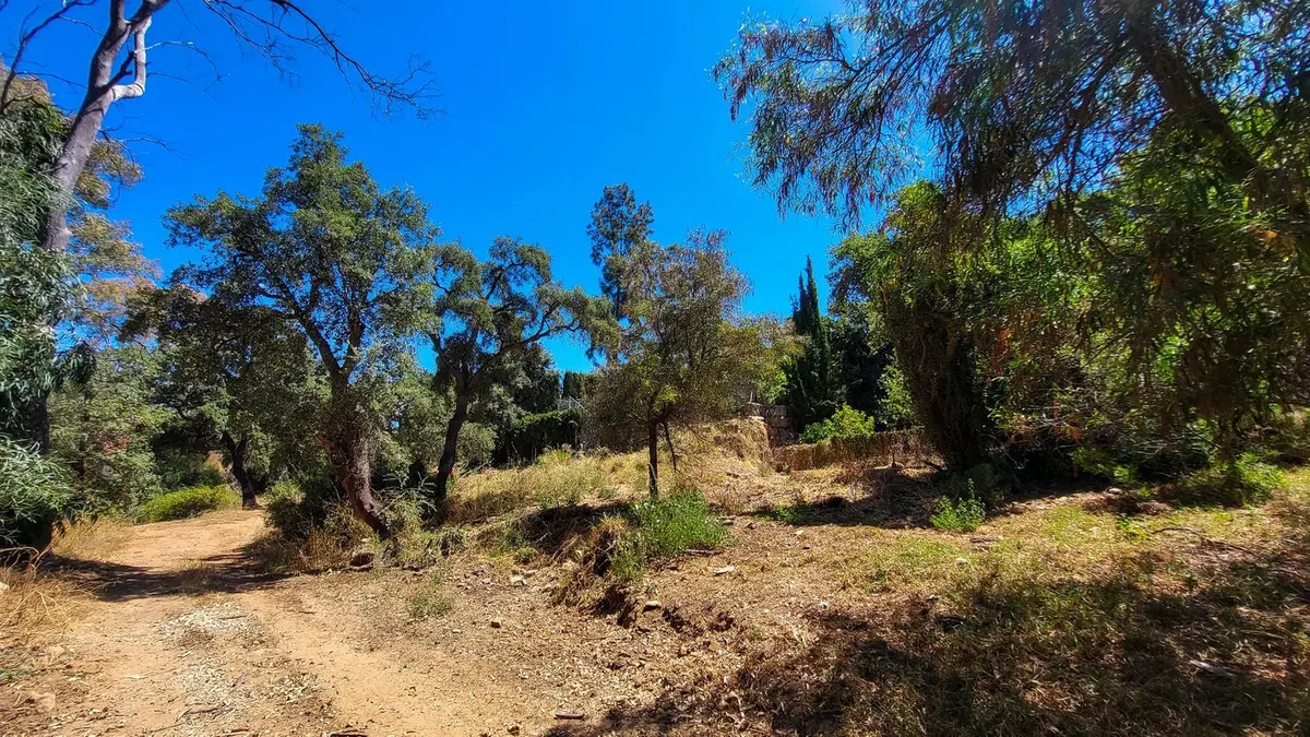 Detached Villa in Elviria