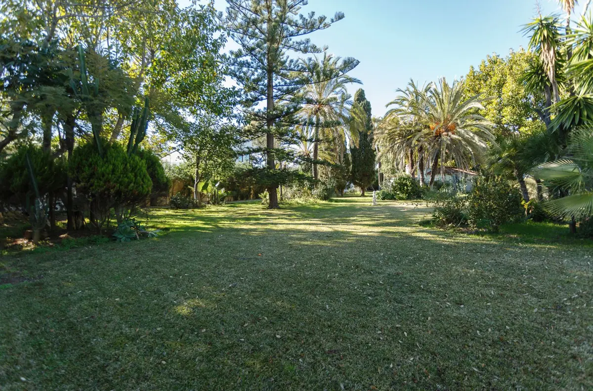 Detached Villa in Guadalmina Baja