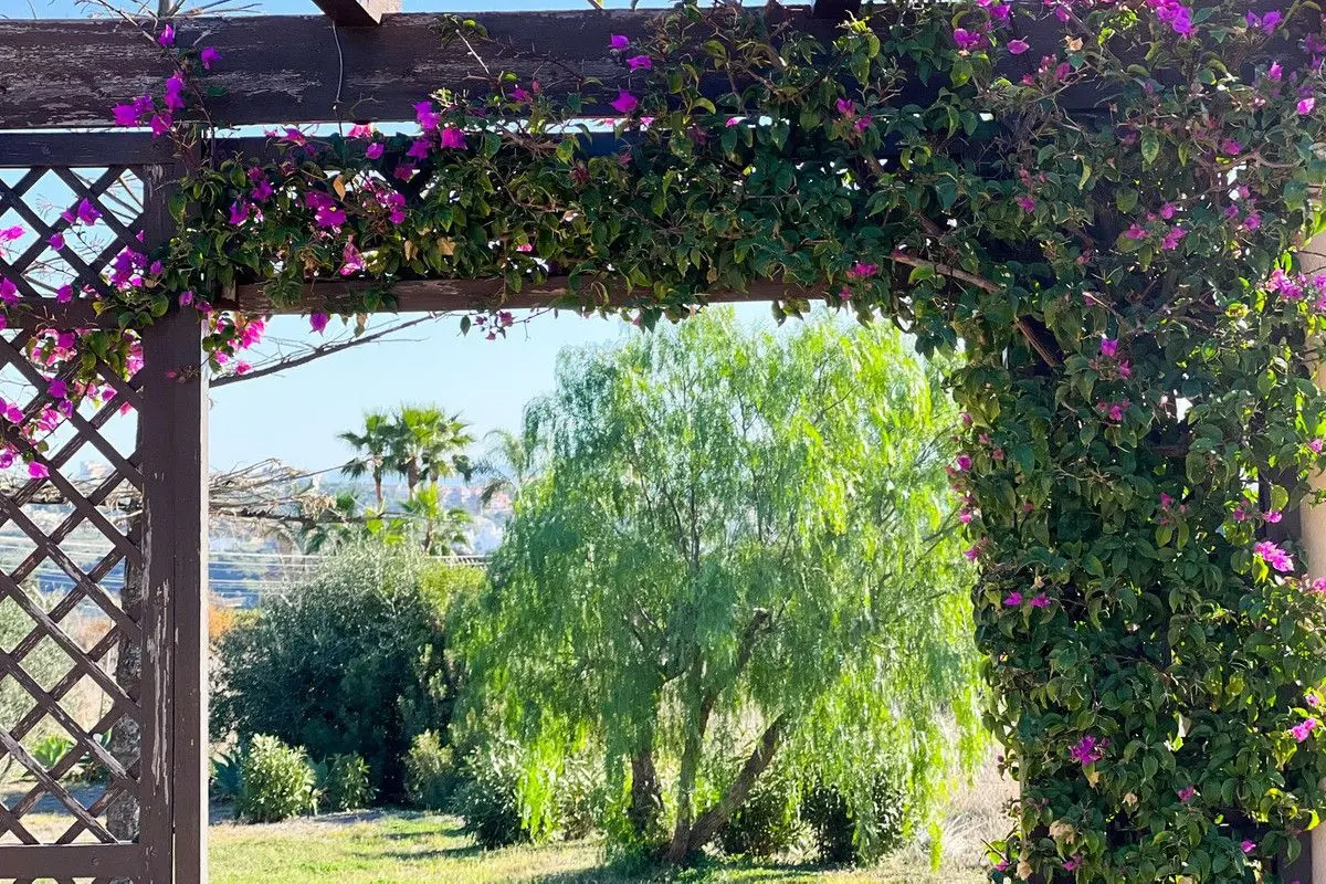 Detached Villa in Estepona