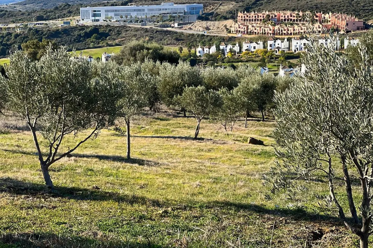 Detached Villa in Estepona