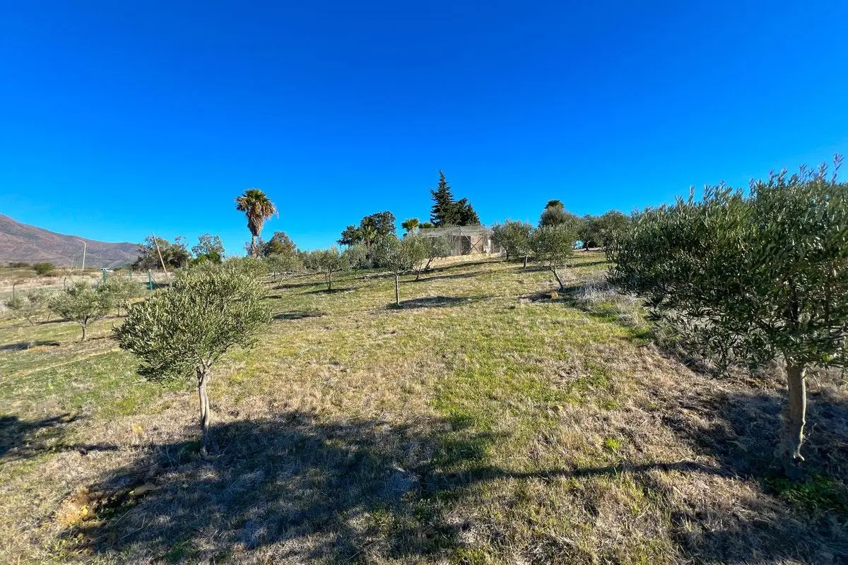 Detached Villa in Estepona