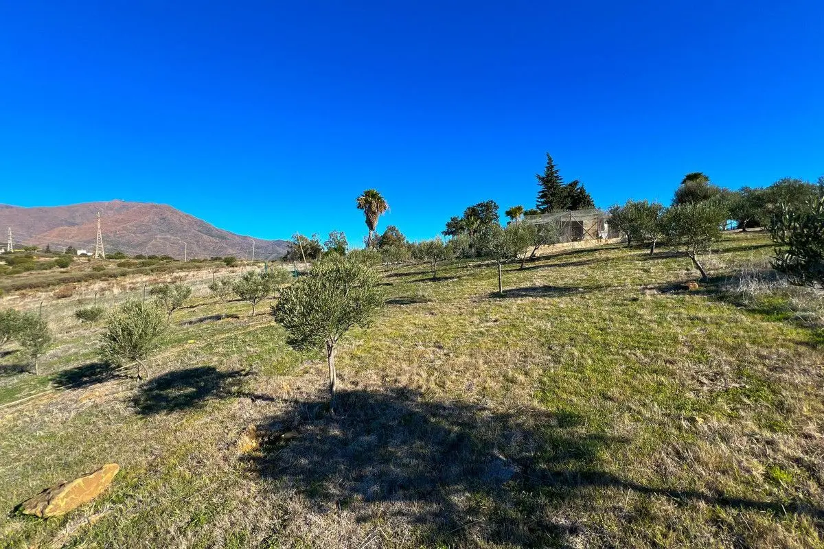 Detached Villa in Estepona