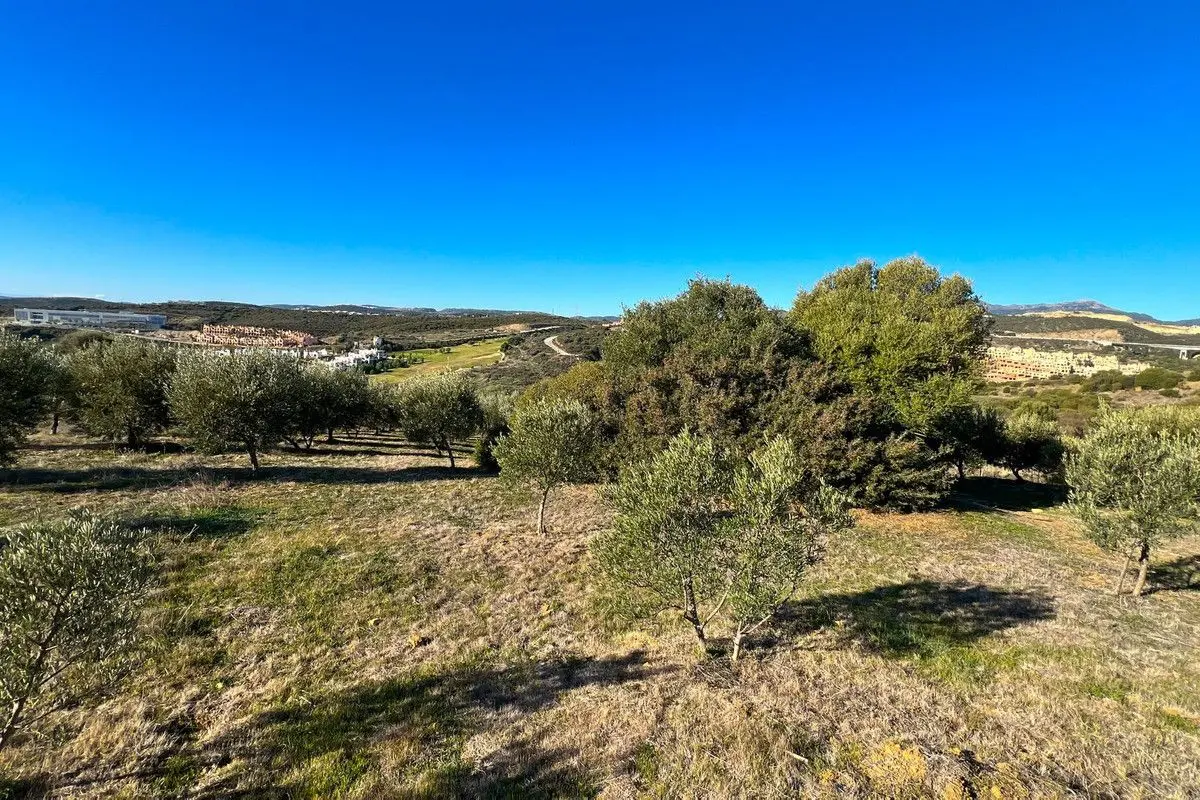 Detached Villa in Estepona