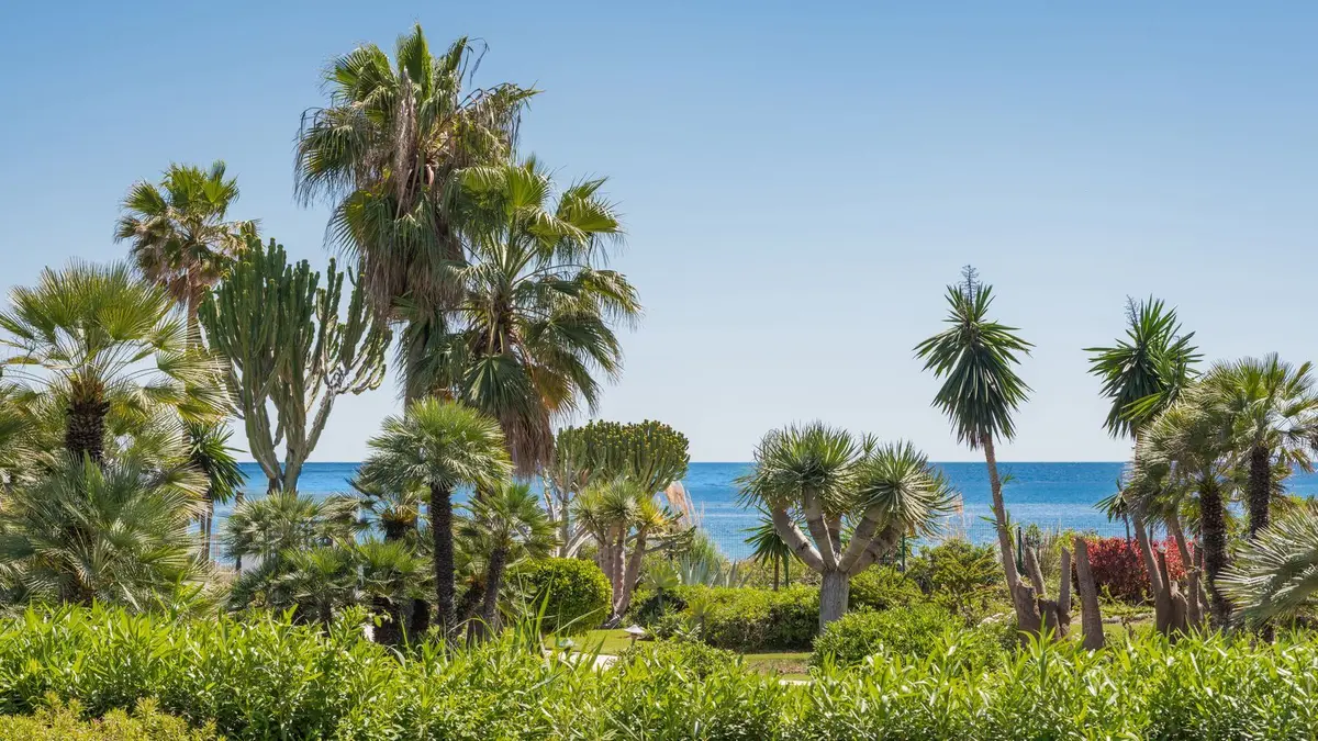 Ground Floor Apartment in Costalita