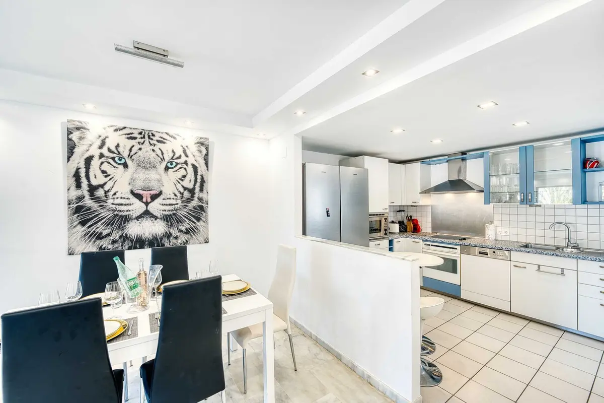 Penthouse in Elviria