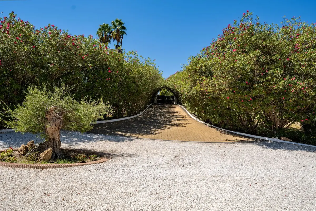 Finca - Cortijo in Cancelada