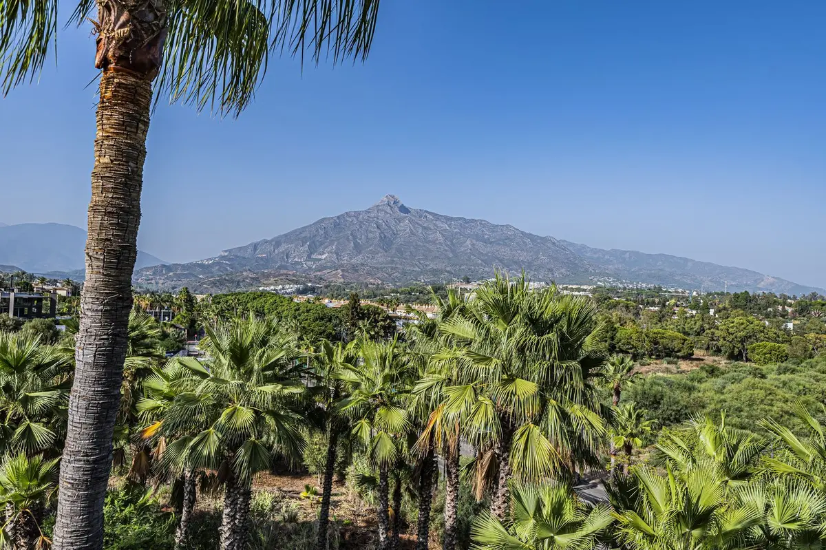 Penthouse in Puerto Banús