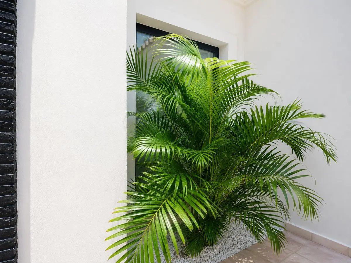 Detached Villa in El Paraiso