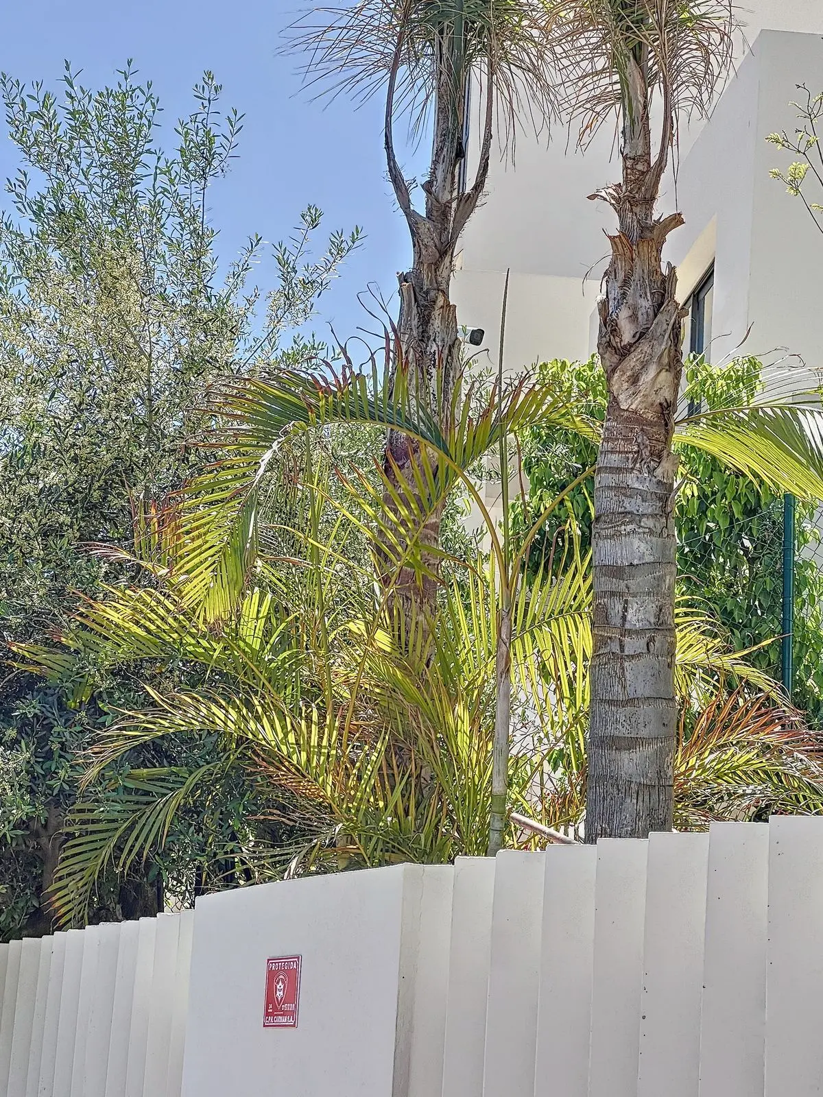 Detached Villa in Nueva Andalucía