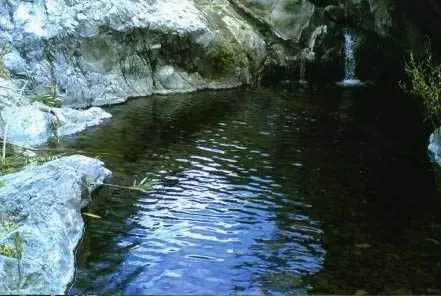 Finca - Cortijo in Estepona