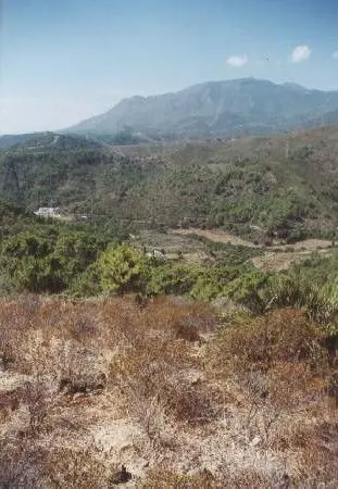Finca - Cortijo in Estepona