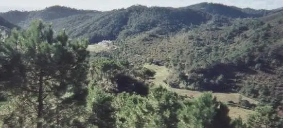 Finca - Cortijo in Estepona