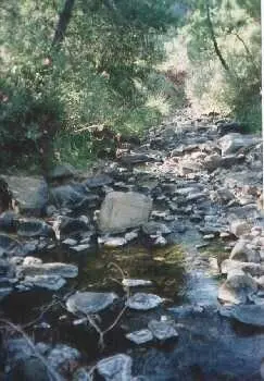 Finca - Cortijo in Estepona