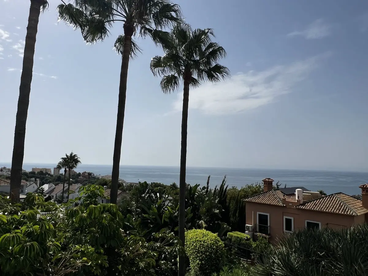Detached Villa in Estepona