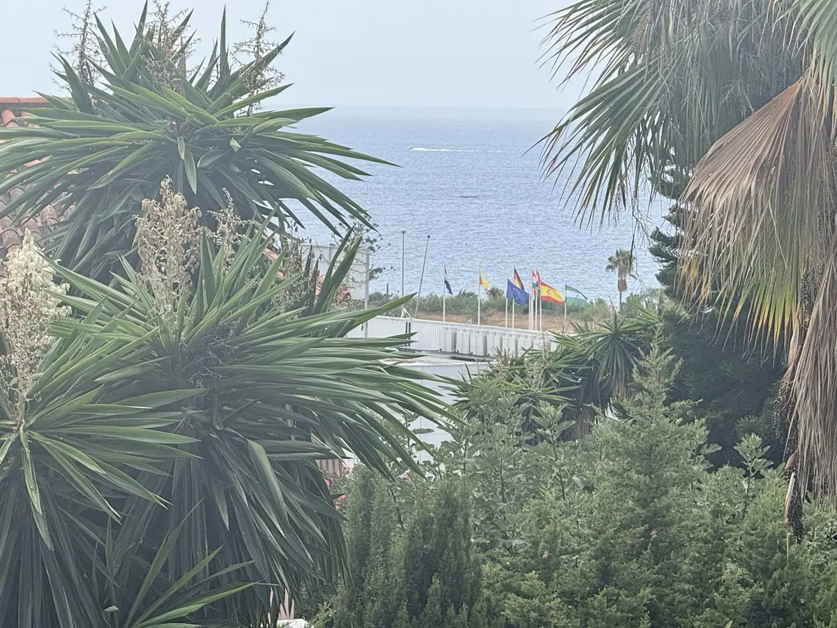 Detached Villa in Marbella