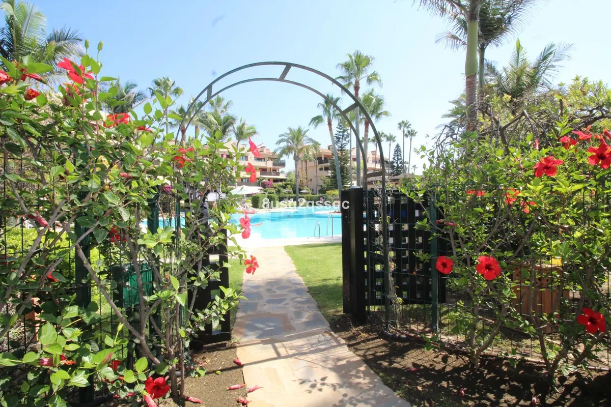 Penthouse in Costalita