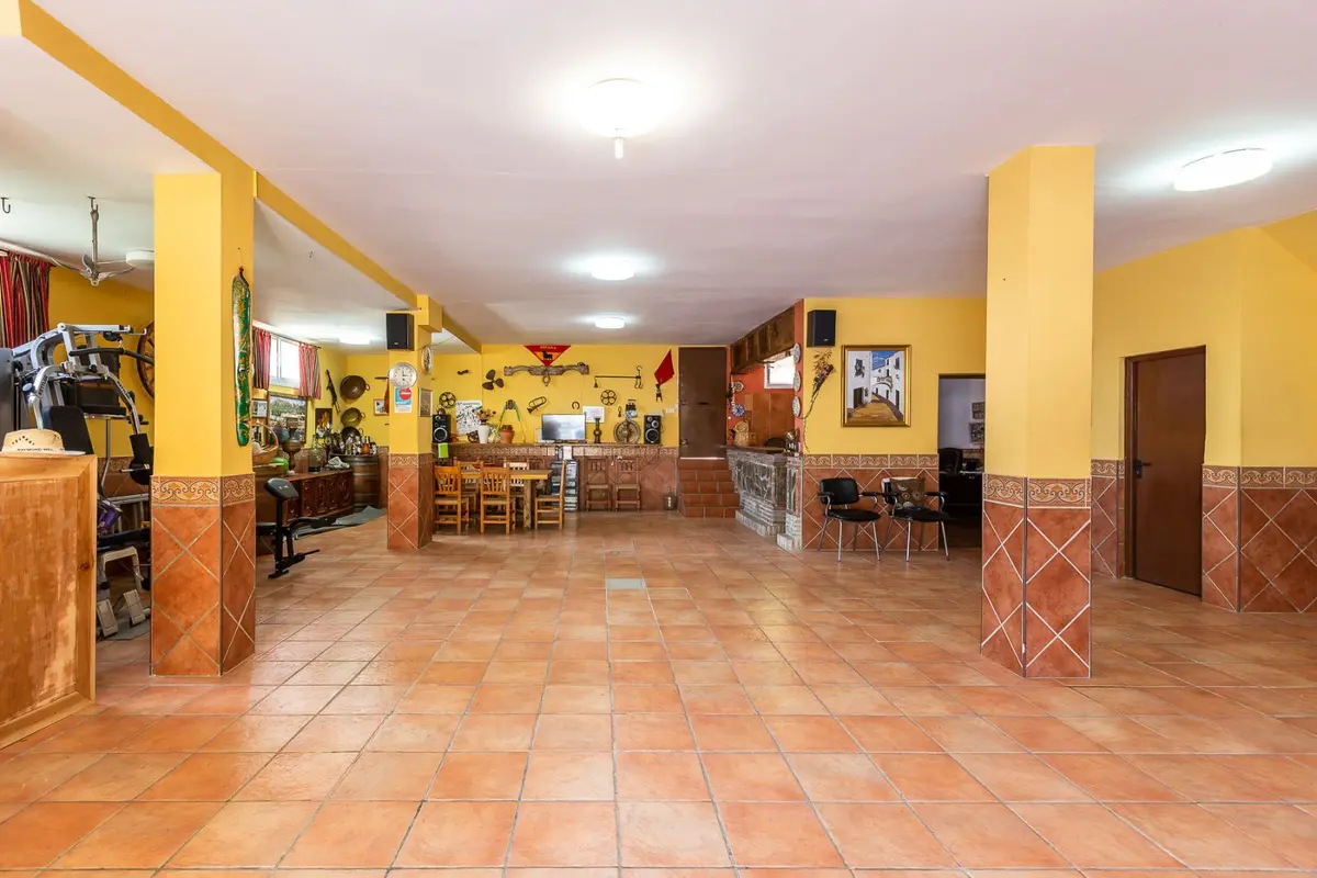 Detached Villa in Marbella