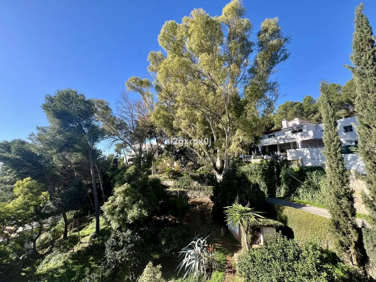 Detached Villa in Marbella