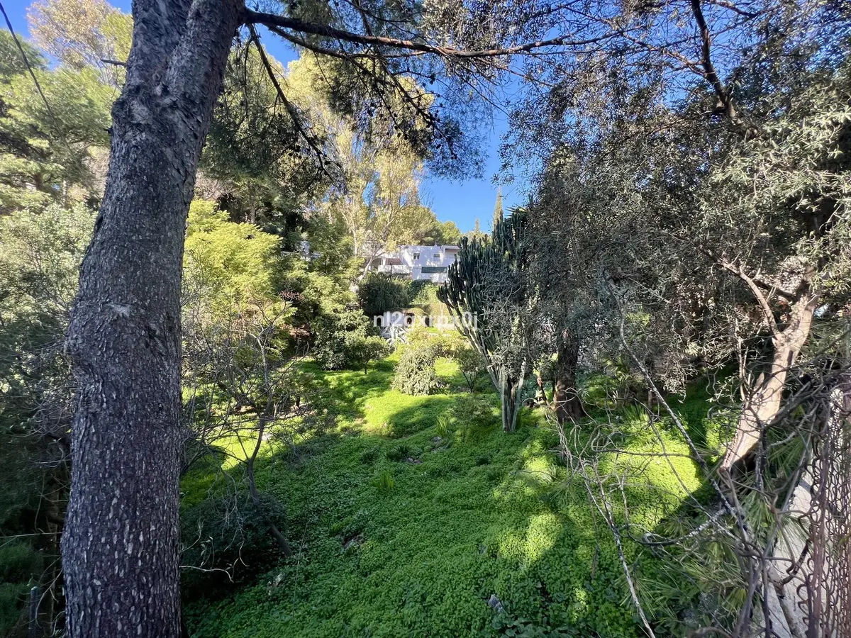 Detached Villa in Marbella