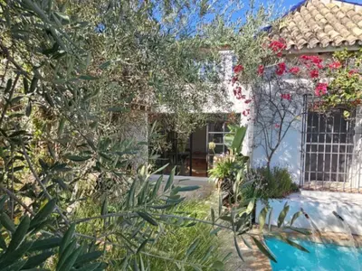 Beachside Villa in Marbella with Private Pool