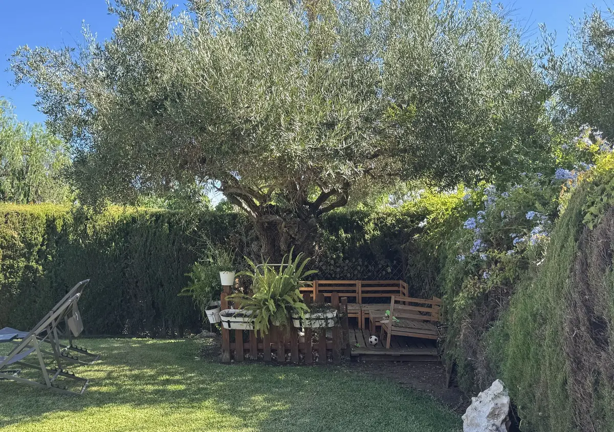 Detached Villa in Puerto Banús