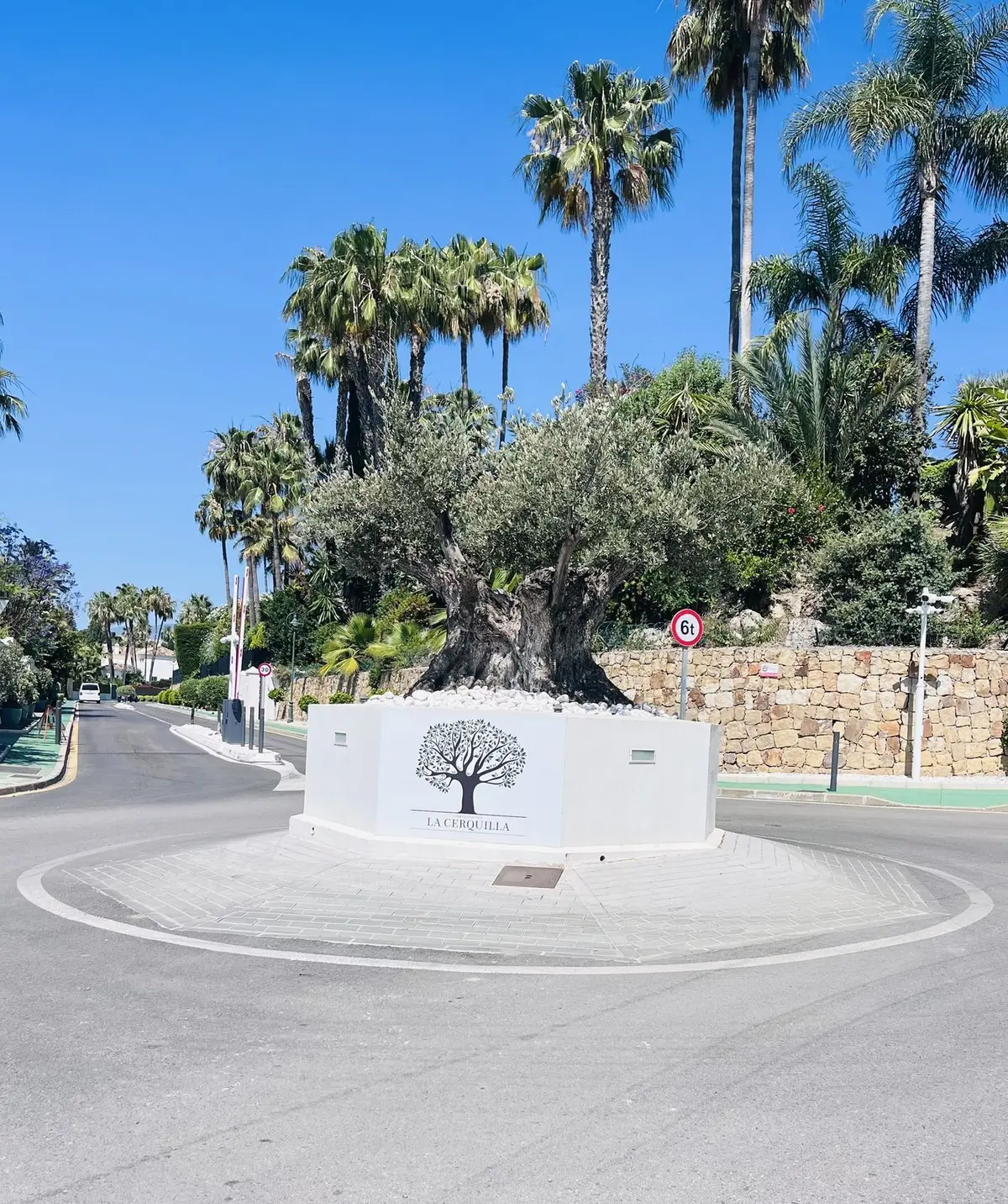 Detached Villa in Nueva Andalucía