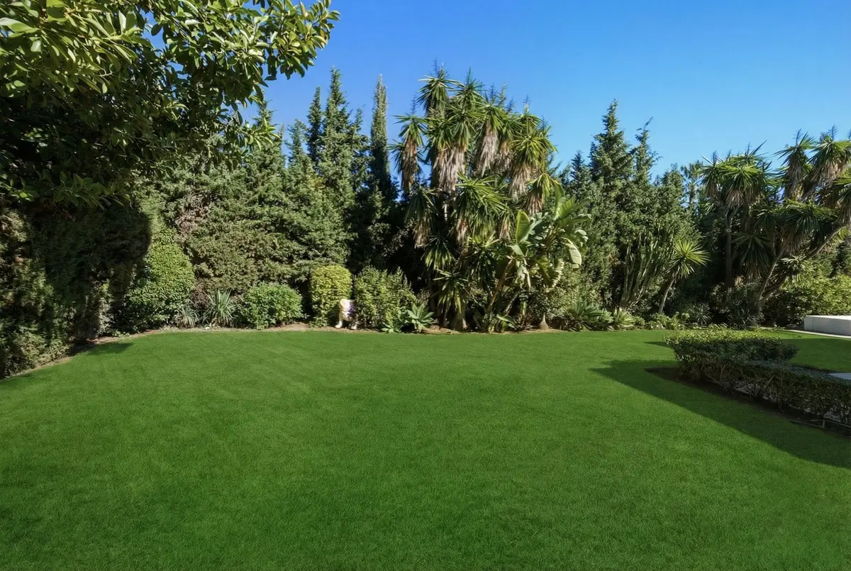 Detached Villa in Guadalmina Baja