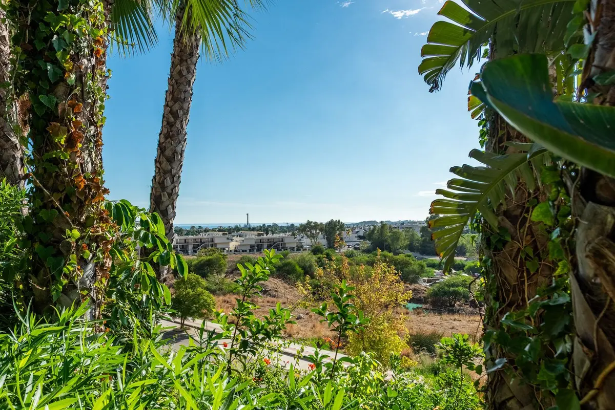 Ground Floor Apartment in Nueva Andalucía