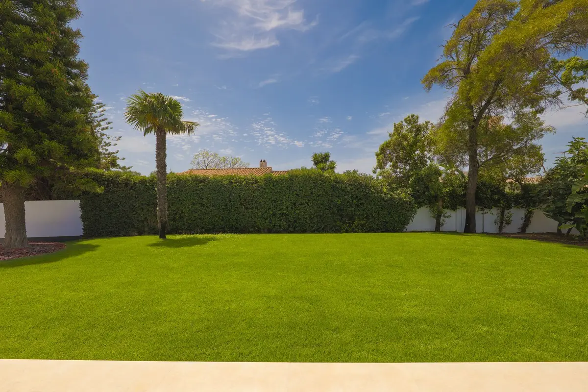 Detached Villa in Atalaya