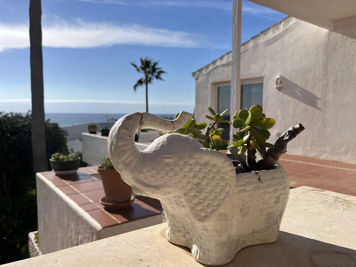 Detached Villa in Estepona