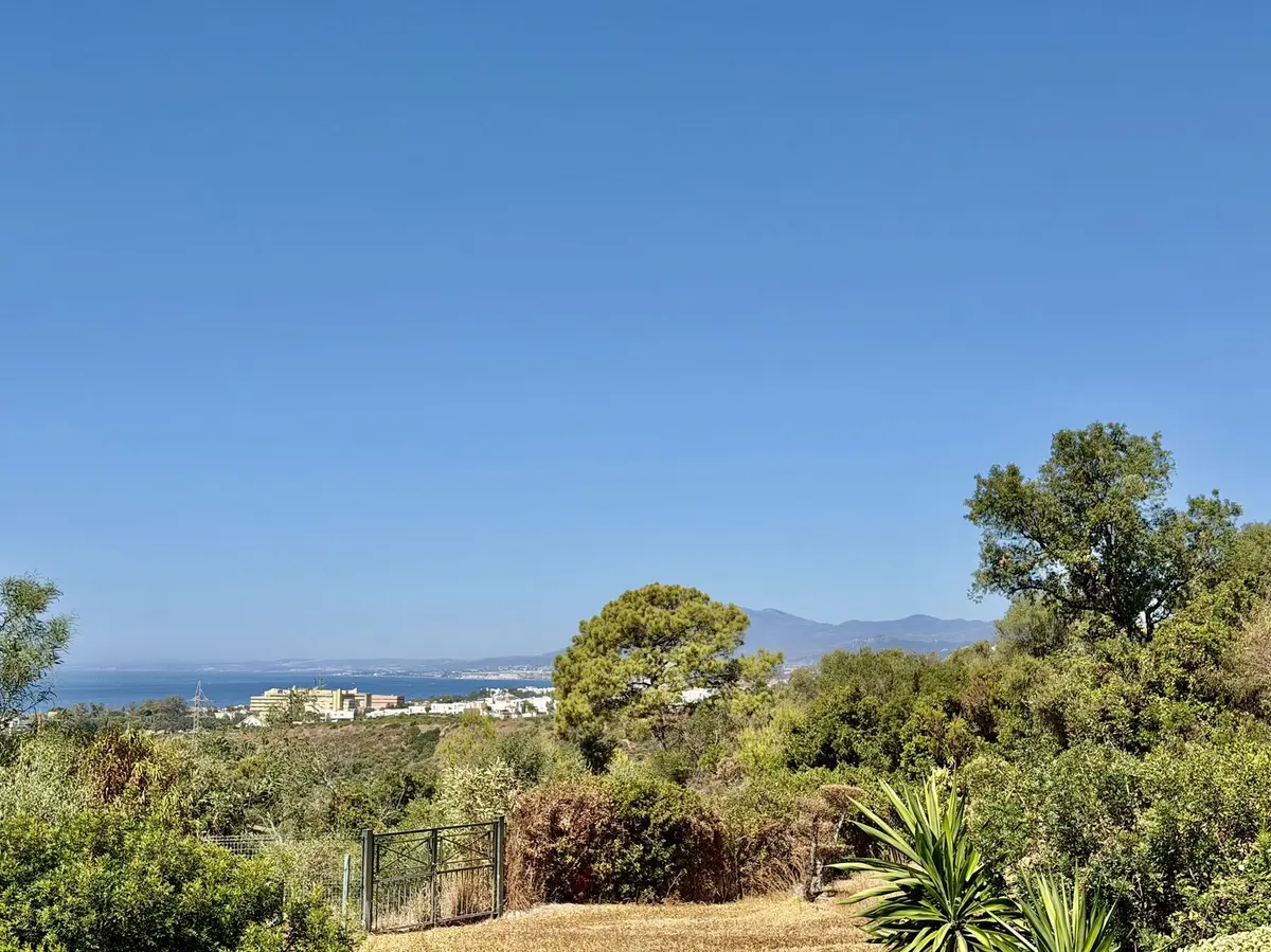 Detached Villa in El Rosario