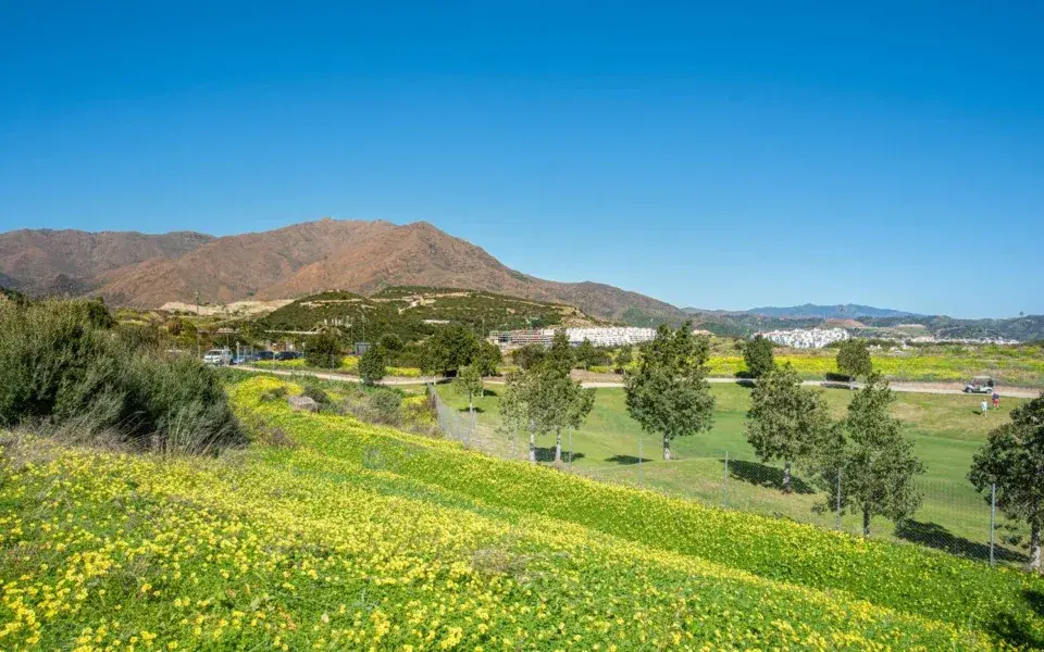 Detached Villa in Estepona