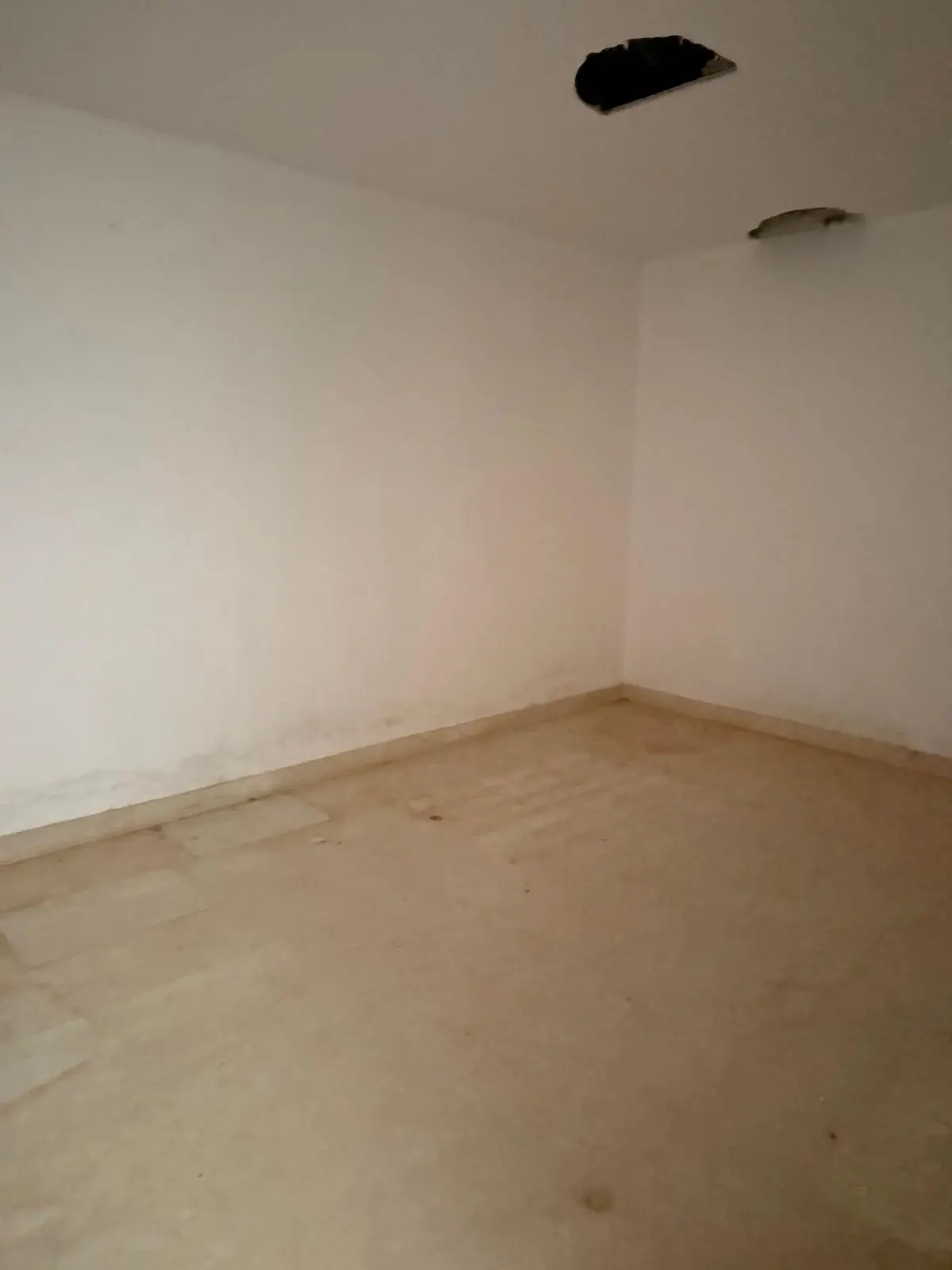 Detached Villa in Elviria