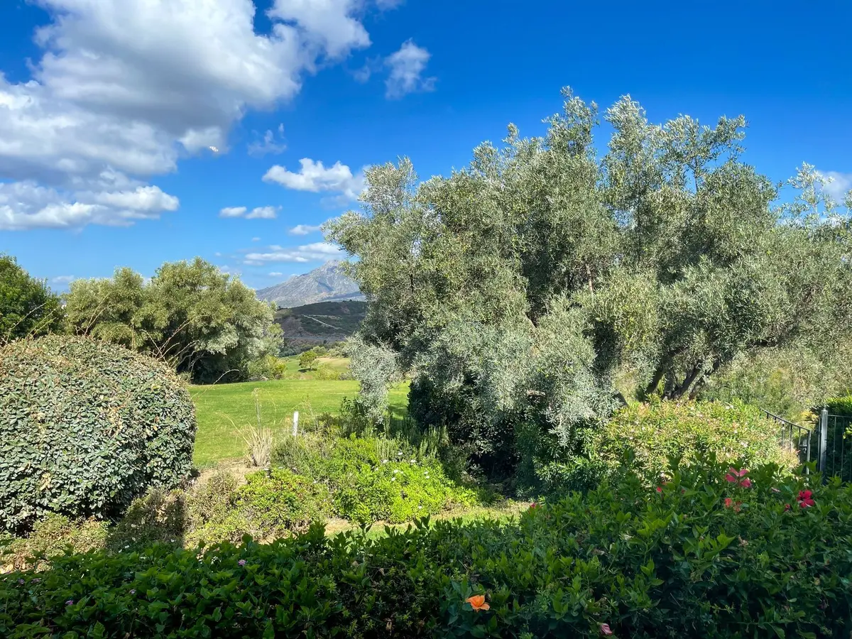 Detached Villa in El Rosario