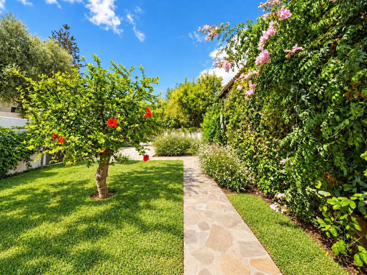 Detached Villa in Marbella