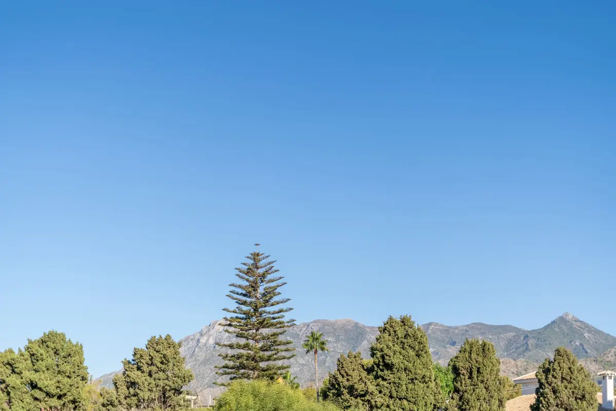 Detached Villa in Marbella