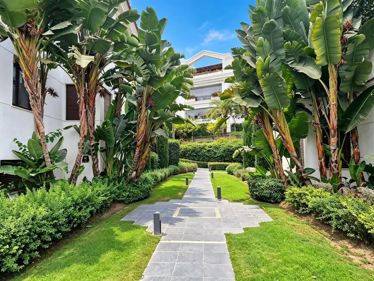 Ground Floor Apartment in Estepona