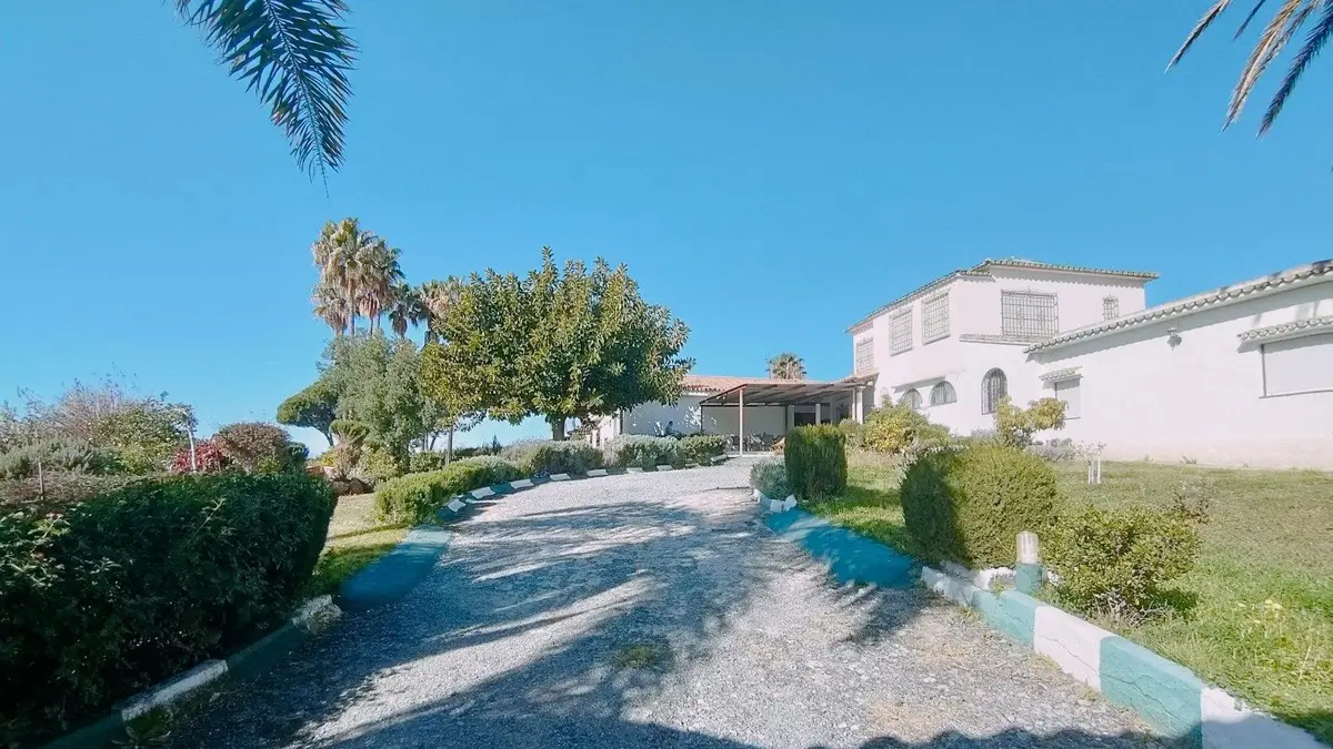 Detached Villa in Marbella