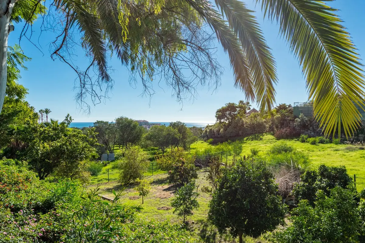 Detached Villa in Nueva Andalucía