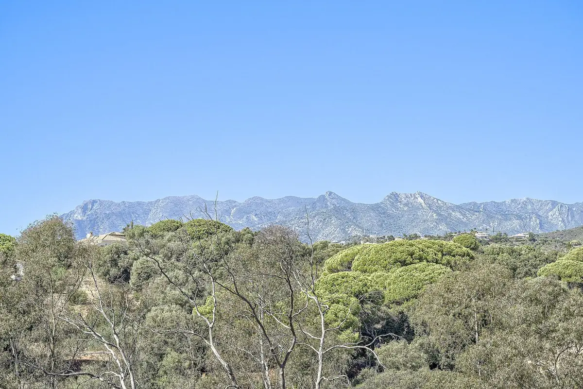 Detached Villa in Elviria
