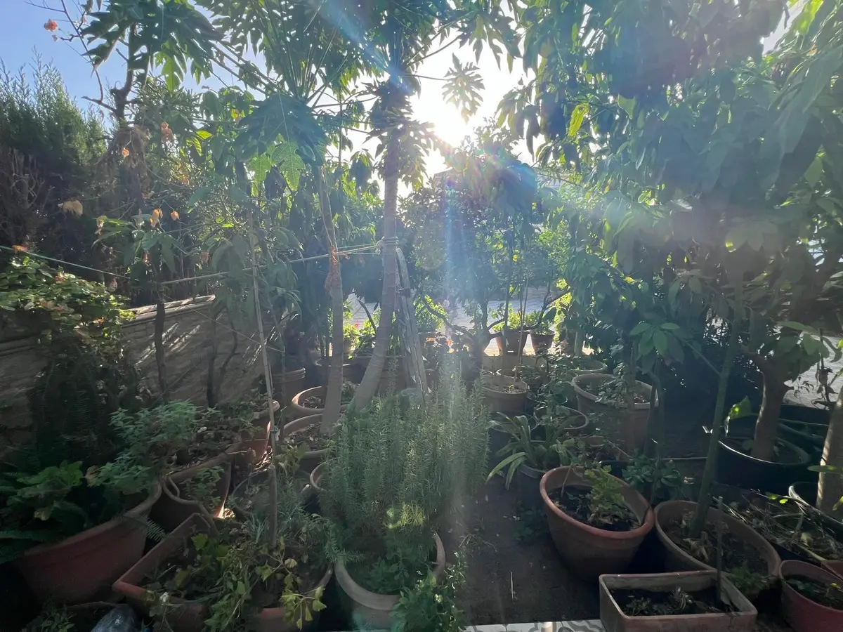 Semi-Detached House in Estepona