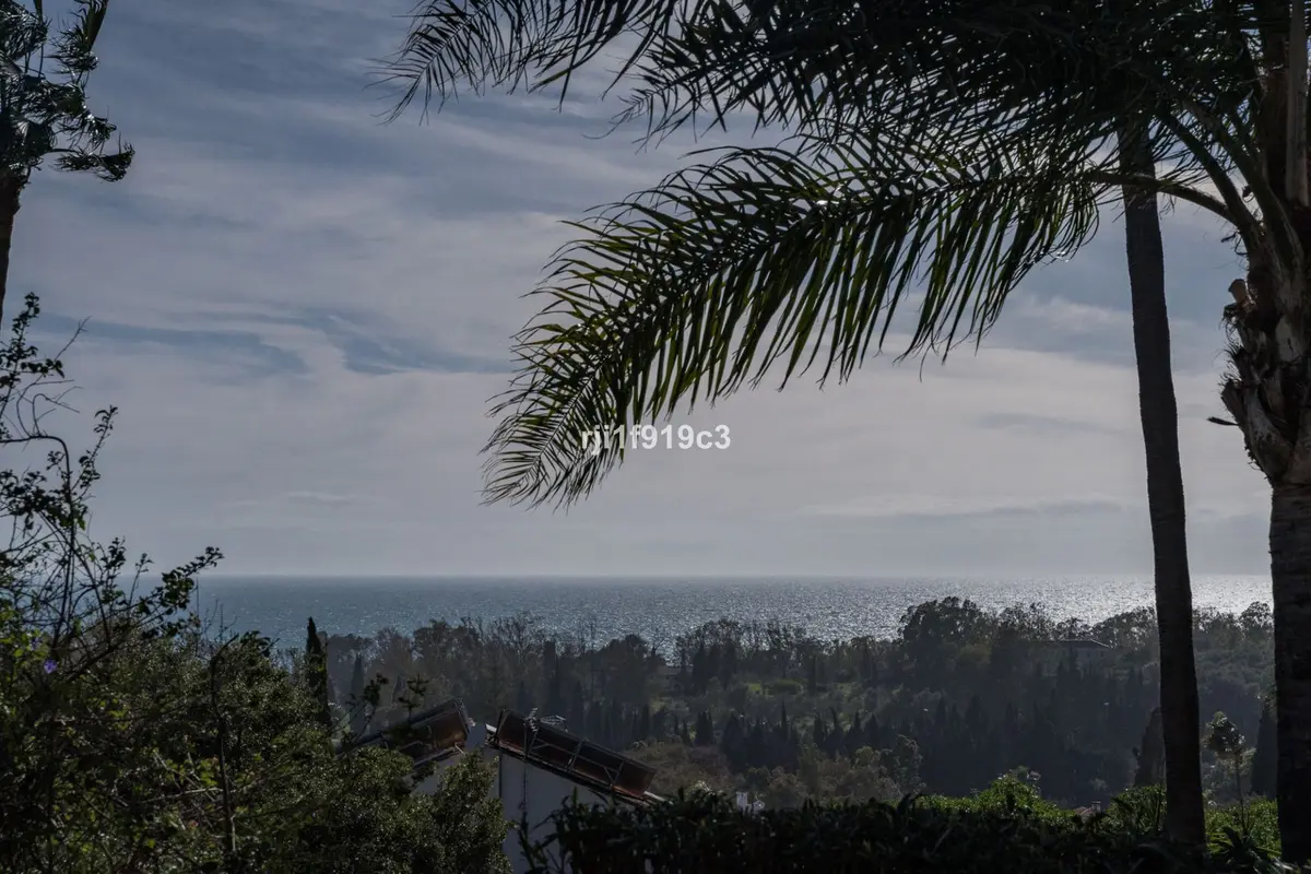 Detached Villa in Elviria