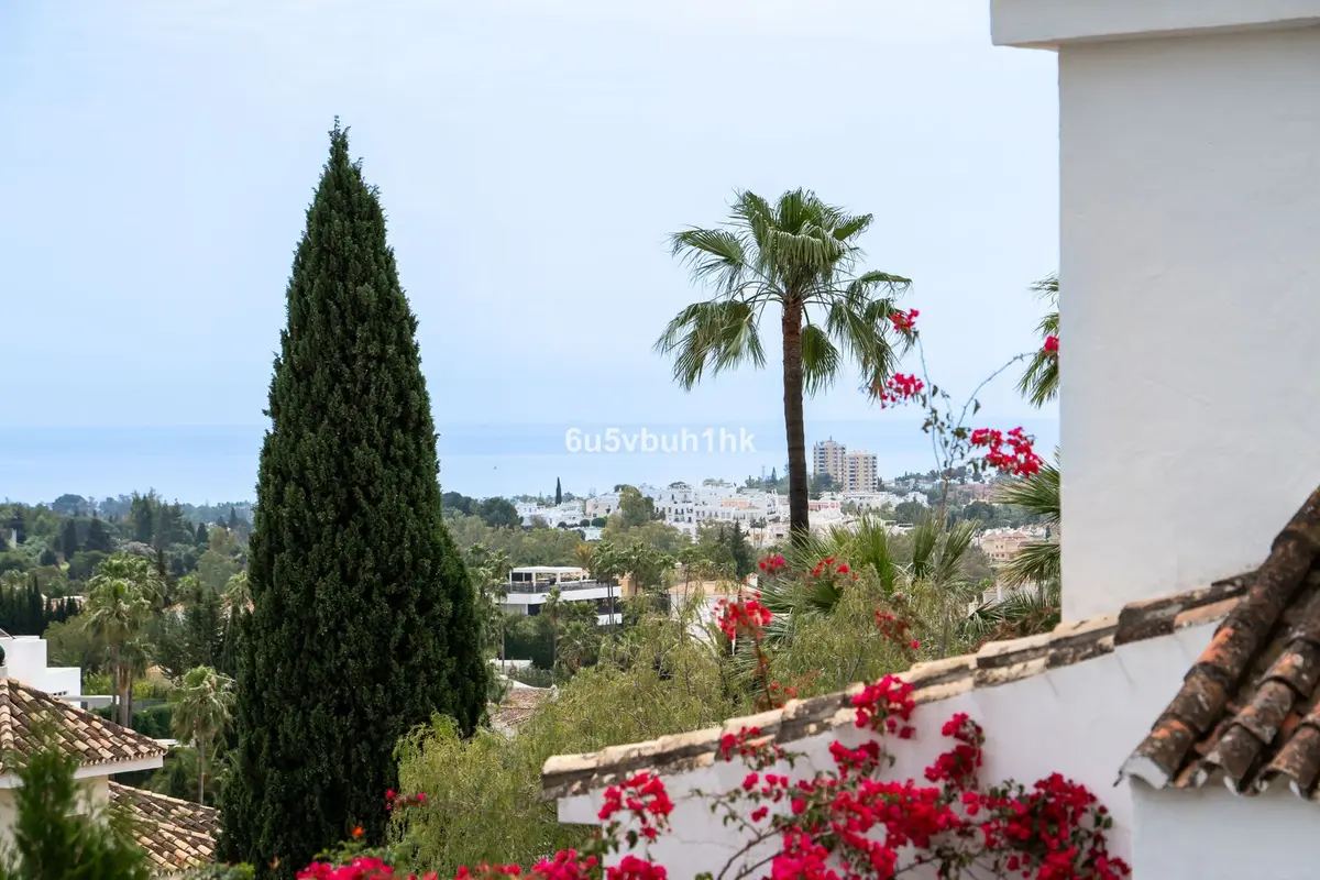 Detached Villa in Marbella